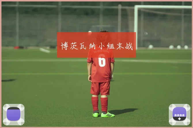 博茨瓦纳小组末战