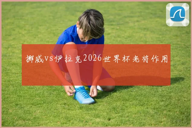 挪威vs伊拉克2026世界杯老将作用