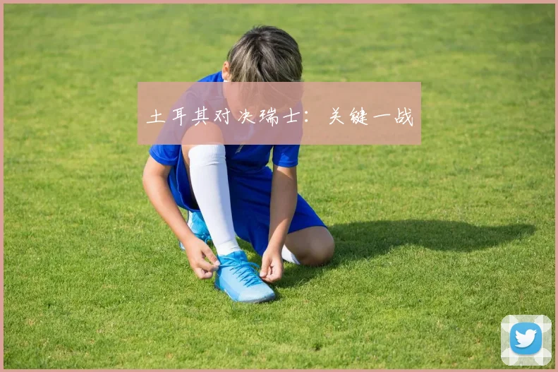 土耳其对决瑞士：关键一战