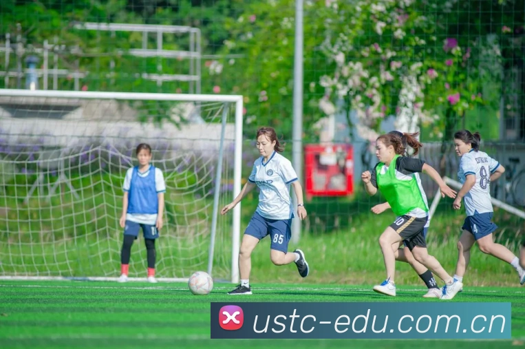 MK体育app入口登录官网-MK世界杯（中国）企业概况