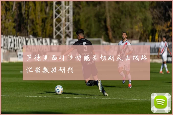 罗德里面对沙特能否切断反击线路拦截数据研判