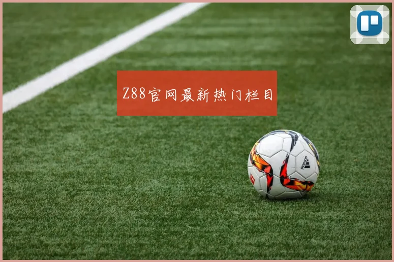 Z88官网最新热门栏目
