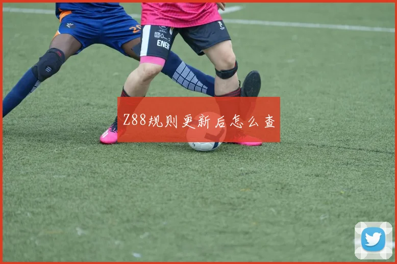 Z88规则更新后怎么查