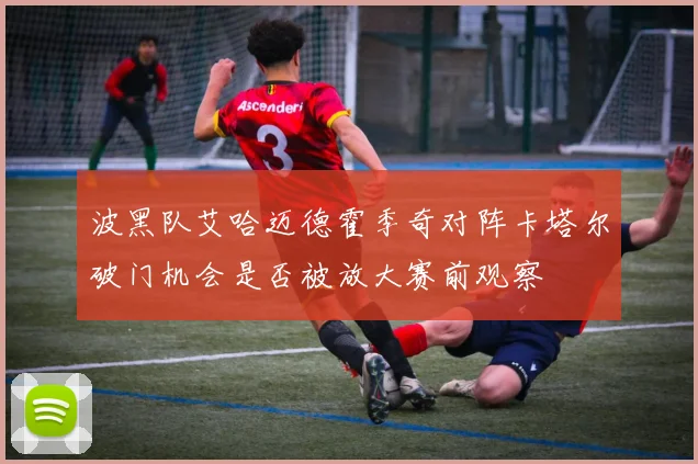 波黑队艾哈迈德霍季奇对阵卡塔尔破门机会是否被放大赛前观察