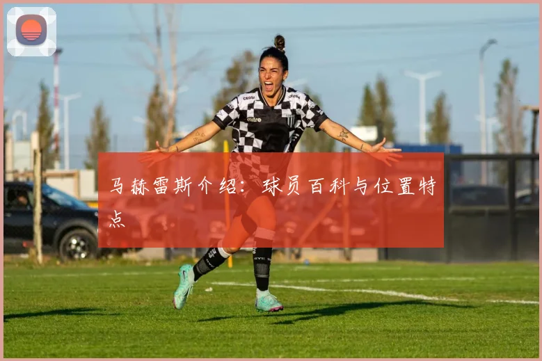 马赫雷斯介绍：球员百科与位置特点