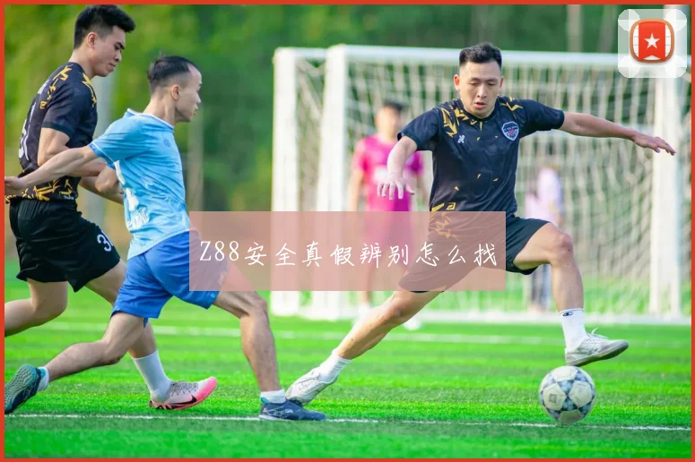 Z88安全真假辨别怎么找