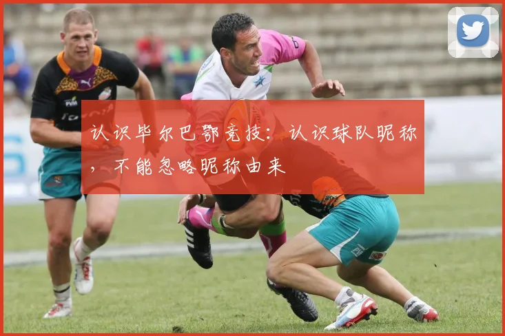 认识毕尔巴鄂竞技:认识球队昵称,不能忽略昵称由来
